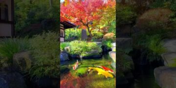 Japan is a dream ✨