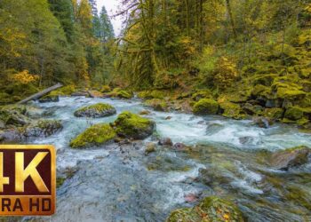 Beautiful Nature Video in 4K (Ultra HD) – Autumn River Sounds – 5 Hours Long