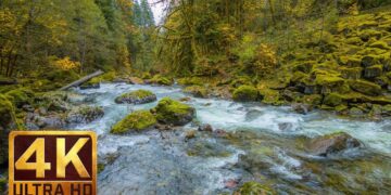 Beautiful Nature Video in 4K (Ultra HD) – Autumn River Sounds – 5 Hours Long