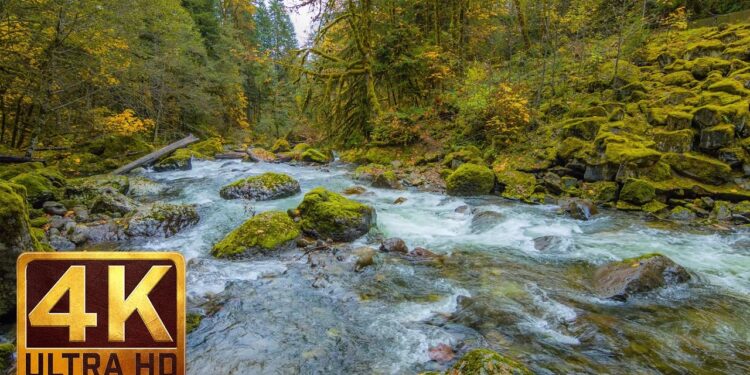 Beautiful Nature Video in 4K (Ultra HD) – Autumn River Sounds – 5 Hours Long