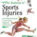 The Anatomy of Sports Injuries, Second Edition: Your Illustrated Guide to Prevention, Diagnosis, and Treatment